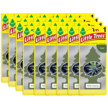 Little Trees Wild Hemp Air Freshener for Car and Home - 24 pack