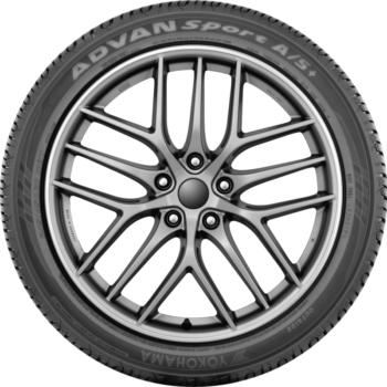 A710c1c837e6ec6d06c46db75b77e463 ccc71730 1169 468e 842f 09eea9fd7d2f.png